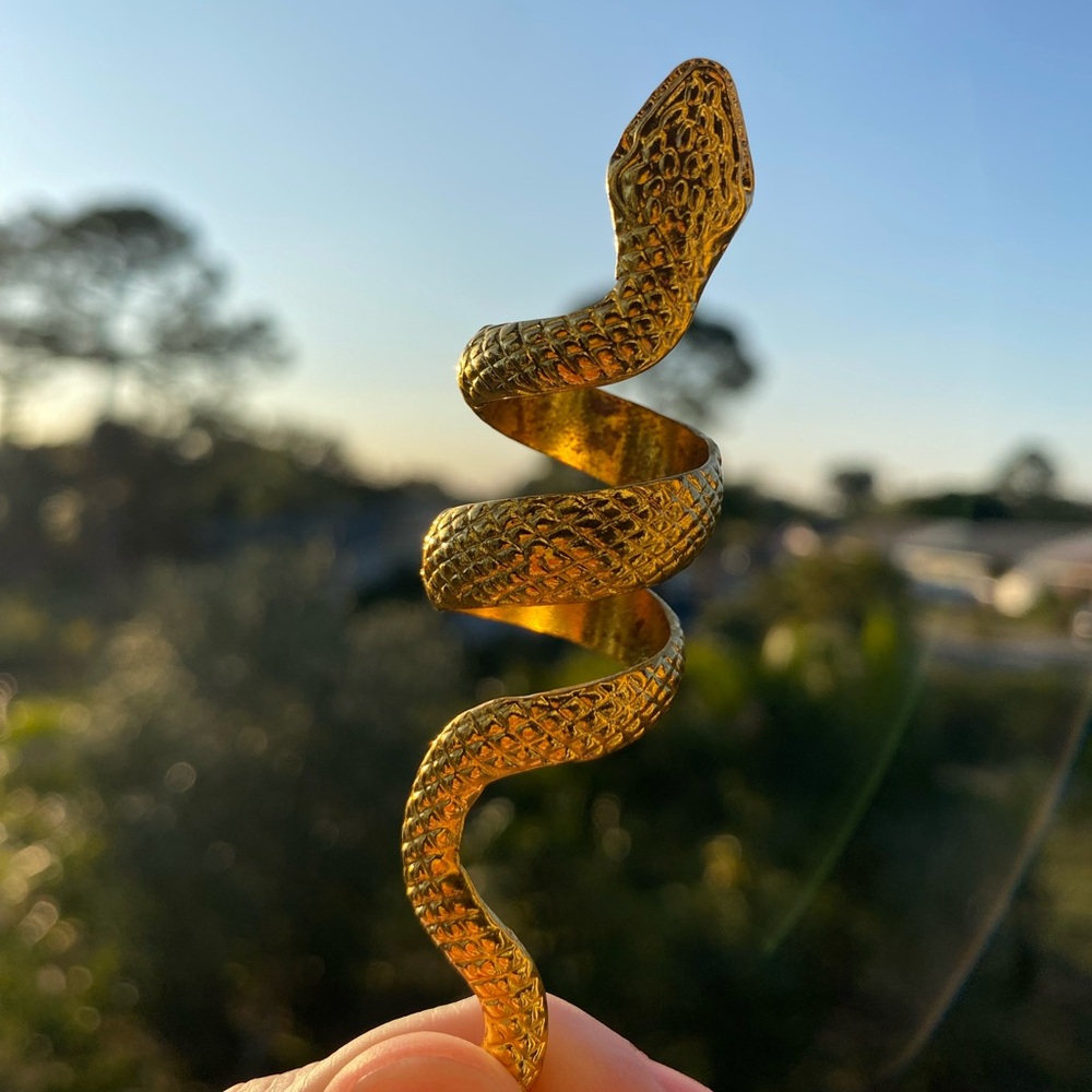 Gold Snake Ring